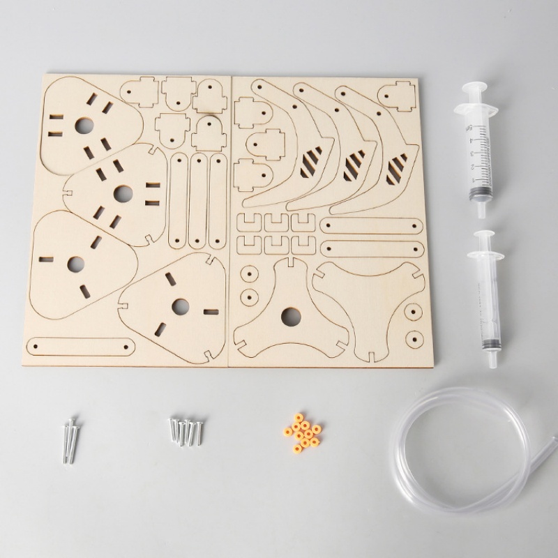 ชุดของเล่นโมเดลกริปเปอร์ไฮดรอล - Science Project Kit บทวิจารณ์และราคา